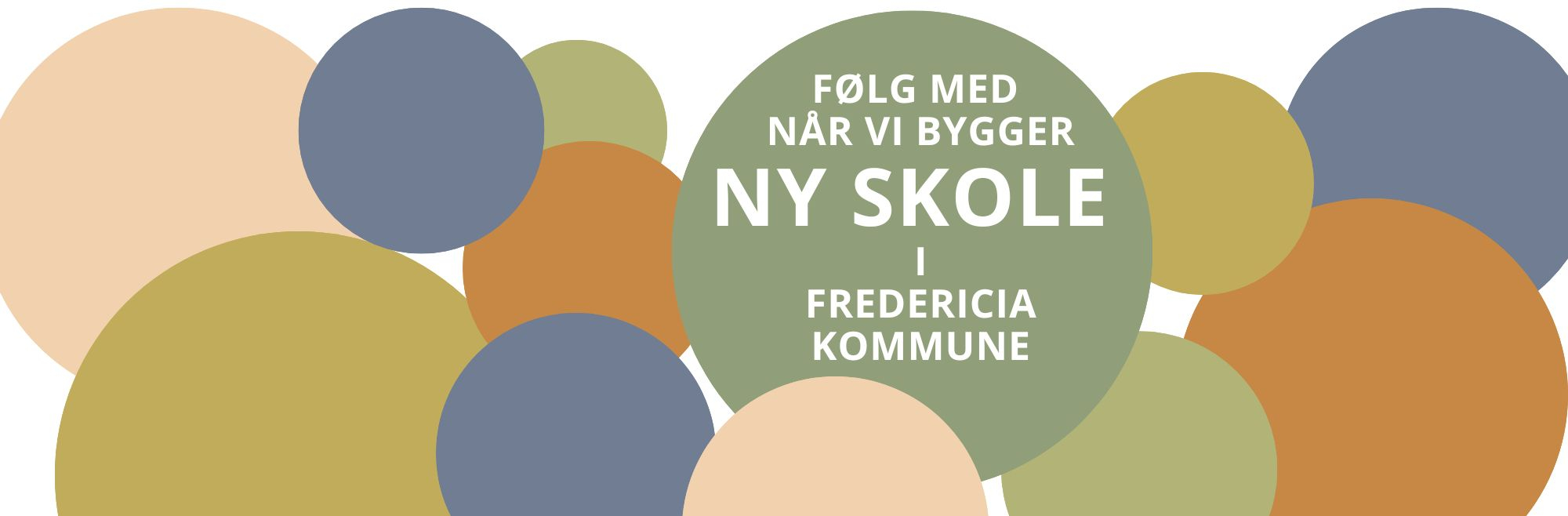 NY SKOLE