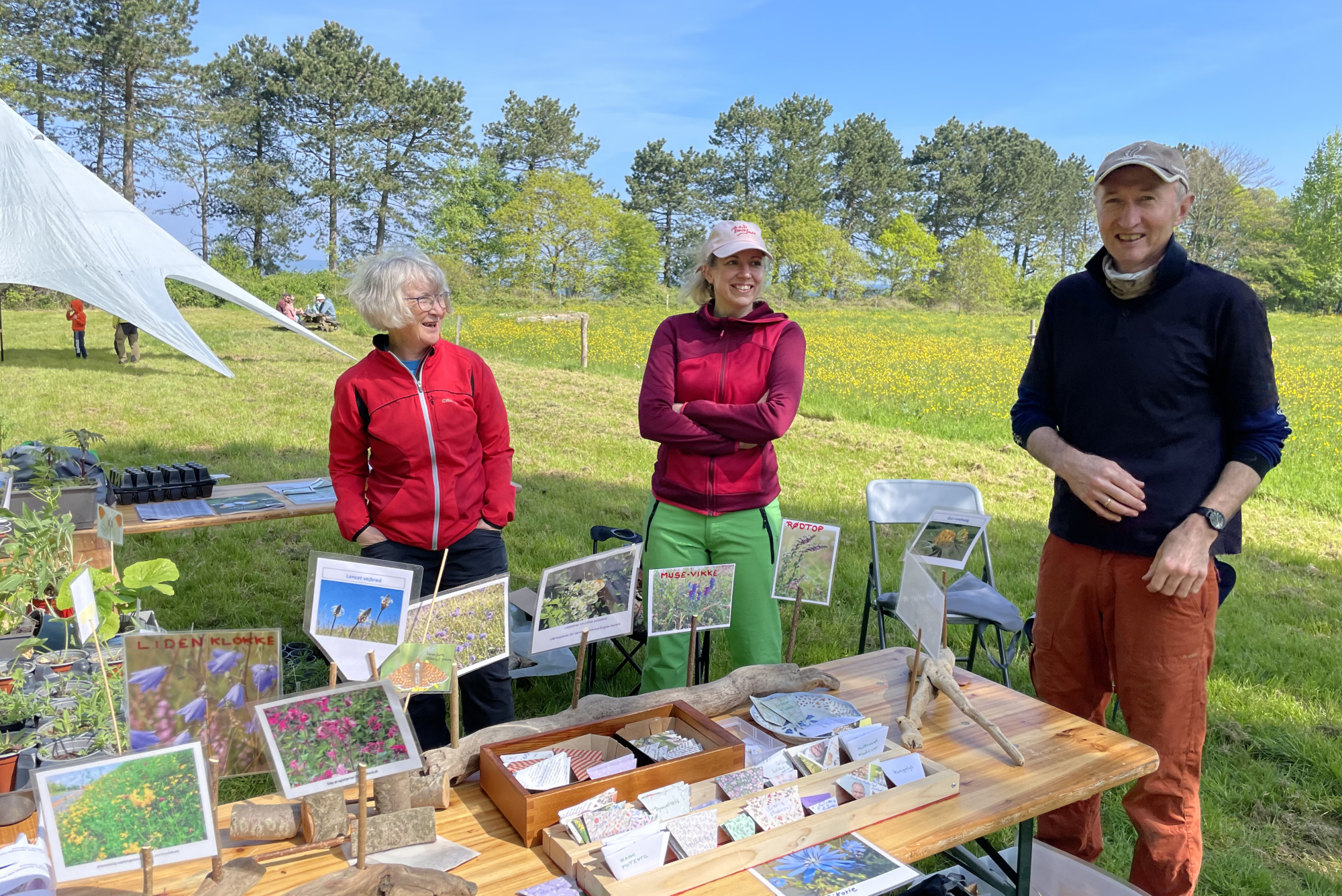 salg af vilde plantefrø